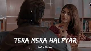 Tera Mera Hai Pyar Amar  Lofi  Slowed  Song [upl. by Neersan623]