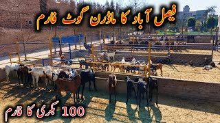 OutClass Modern Goat Farming Setup In Faislabad  Modern Goat Farming In Pakistan [upl. by Floria]