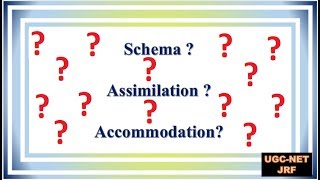 schema assimilation accommodation [upl. by Nalad]