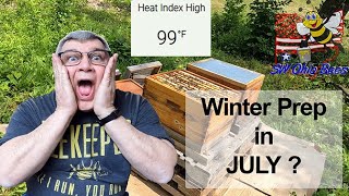 Start Winter Hive Prep in Summer [upl. by Harday564]