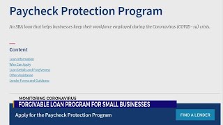 Paycheck Protection Program [upl. by Whelan410]