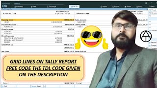 Grid Line on All Report of Tally Using TDL  anuragtiwari7149 [upl. by Teteak]