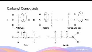 Naming Every Organic Functional Group Using IUPAC Conventions  HSC Chemistry [upl. by Eeraj]