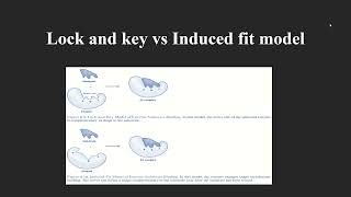 Lock And Key Model And Induced Fit Model Malayalam [upl. by Ordnasela]