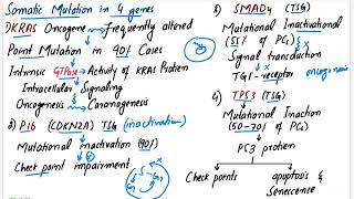 Pancreatic Carcinoma  Robbins pathology chapter 17 pancreas pathology pathology mbbslectures [upl. by Arretal]