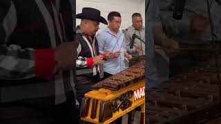 Marimba Maderas de Mi Tierra  Musica Maya Guatemalteca [upl. by Gravante]