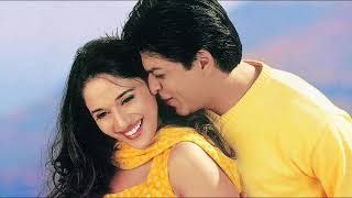 Hum Tumhare Hain Tumhare Sanam  Shahrukh Khan Madhuri Dixit  Udit Narayan  90s Hits Hindi Songs [upl. by Revlys835]