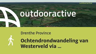 Ochtendrondwandeling van Westerveld via Zoerte op 7 juli 2024 [upl. by Rezeile]