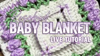 Rosebud Baby Blanket [upl. by Nickles]