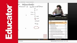 Disaccharides Structure and Polysaccharides Overview  Biochemistry Tutorial [upl. by Narmi304]