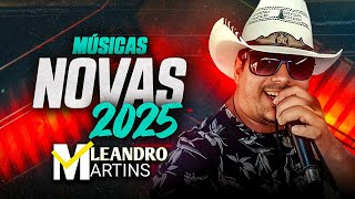 Leandro Martins Xotão 2025 Musicas Novas 2025  06 [upl. by Blatt]