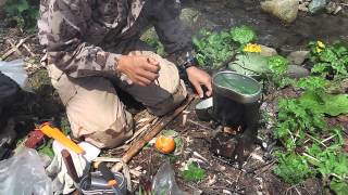 Wild edible plant gather and Firebox lunch [upl. by Kinnard]