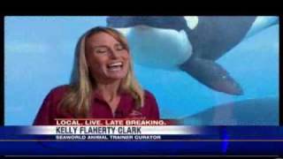 SeaWorld Makes Changes After Killer Whale Attack [upl. by Anala]