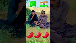 Pakistan and India hari mirch kha rahe hain ladke ameenofficialvillagelife 20240908 New video [upl. by Emmalynn615]