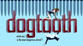 Dogtooth Kynodontas 2009 HorrorComedy Full Movie Facts amp Review  Angeliki Papoulia Mary Tsoni [upl. by Graham]