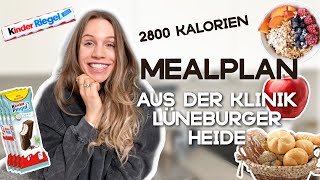 1 Tag essen wie in der Klinik Lüneburger Heide  Recovery Essstörungen 📋 2800 Kalorien [upl. by Thackeray]