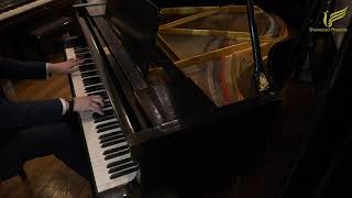 Danemann Baby Grand Piano  Demonstrated by Sherwood Phoenix [upl. by Corene438]