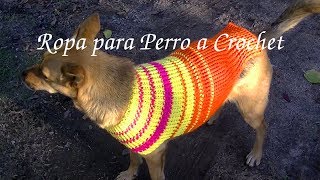 ROPA en tejido Crochet o ganchillo para mascota tutorial paso a paso Moda a Crochet [upl. by Atin191]