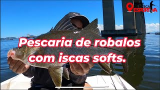 PESCARIA DE ROBALOS COM SHAD [upl. by Briney]