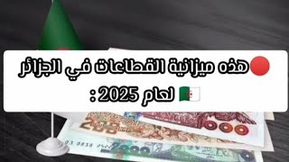 🔴‏هذه ميزانية القطاعات في ‎الجزائر 🇩🇿 لعام 2025 [upl. by Nwahshar14]