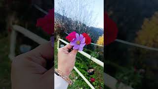 Kanatal trip kanatal wadiyan views comment know visit subscribe like family vlog song [upl. by Turnbull]