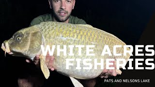 White Acres Pats and Nelson’s Lake  Carp and Catfish Fishing UK [upl. by Macintyre946]