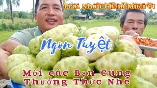 Trái Nhàu Chấm Muối Ớt Ngon Khó Cưỡng Mời Cô Chú Anh Chị Và Các Bạn Cùng Thưởng Thức Nhé [upl. by Anyzratak]