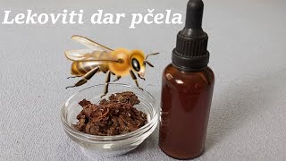 Propolis lekoviti dar pčela [upl. by Stouffer]