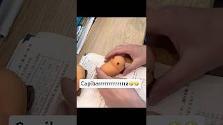 Capibara cochee🤣🤣iboop iBOOP capybara peluches plush regalos gifts capibara dolls [upl. by Niarb230]