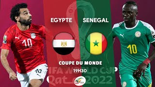 EGYPTE  SENEGAL LIVE  LA REVANCHE POUR SALAH   BARRAGES COUPE DU MONDE  CDM 2022 [upl. by Crissy223]