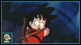 Dragon Ball 🇫🇷  Les pièges des pirates │ Warner TV Next [upl. by Tremml]