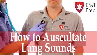 How to Auscultate Lung Sounds  EMTprepcom [upl. by Iteerp]