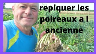 comment repiquer vos poireaux [upl. by Aoniak878]