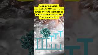 Polymerase Chain Reaction  PCR DNAAmplification TaqPolymerase GeneResearch MedicalDiagnostics [upl. by Tadd933]