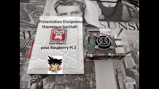 Présentation Dissipateur Thermique GorillaPi pour Raspberry Pi 3 model B [upl. by Atinhoj]