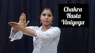 chakra hasta viniyoga bharatanatyam viniyoga kalakshetra hastamudra mudra mudhravideos [upl. by Eelynnhoj478]