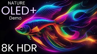 The Best OLED  Demo in 8K Dolby Vision [upl. by Gris]