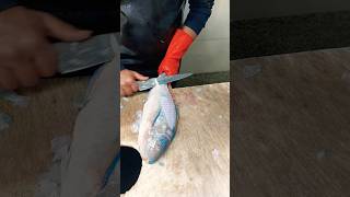 filleting parrot fish and removing its skin with a knife fishcutting [upl. by Raymond849]