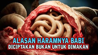 Menjijikan Inilah Alasan Mengapa Allah Melarang Kita Untuk Memakan Daging Babi [upl. by Nagud]