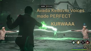 Hogwarts Legacy  Avada Kedavra voice made PERFECT  kurwa [upl. by Antonio4]