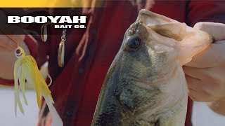 Cold Water Spinnerbait Fishing [upl. by Neral638]