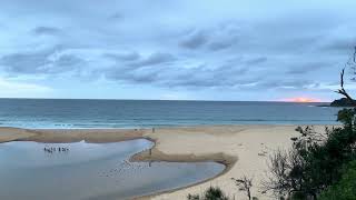 Pelicans and seagulls on Terrigal Lagoon Sunrise through grey cloud [upl. by Ellehsar]