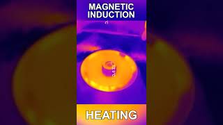 The Power of Magnetic Induction [upl. by Emma158]