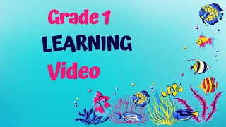 grade 1 learning videos  Learning for Grade 1 Exploring EVS Math and Computers [upl. by Ehsom]