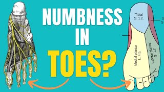 5 Causes Of Numbness In Toes amp How To Treat Numbness In Toes [upl. by Glover]