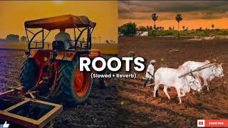 Roots SlowedReverb Song😎  Bintu Pabra  New Trending Haryanvi Song 2024 [upl. by Alleynad939]