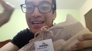 REVIEW  OPINIÓN ADIDAS OZELIA KNIT [upl. by Warfore458]