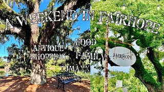 FAIRHOPE AL VLOG  Antique Shopping amp More [upl. by Ymorej336]