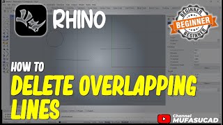 How To Delete Overlapping Lines In Rhino [upl. by Nosidda795]