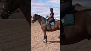 Master horse training Move shoulders effortlesslyquot [upl. by Biddie816]